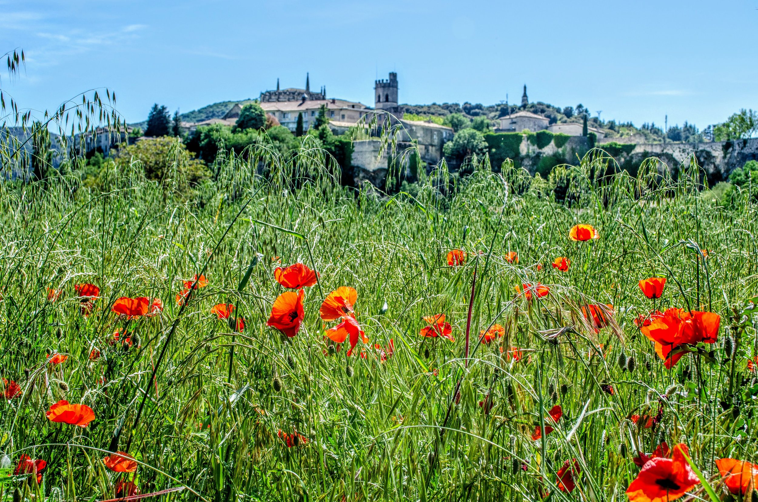 GRIGNAN VISTA by Harry H. Hitzeman, Jr.
