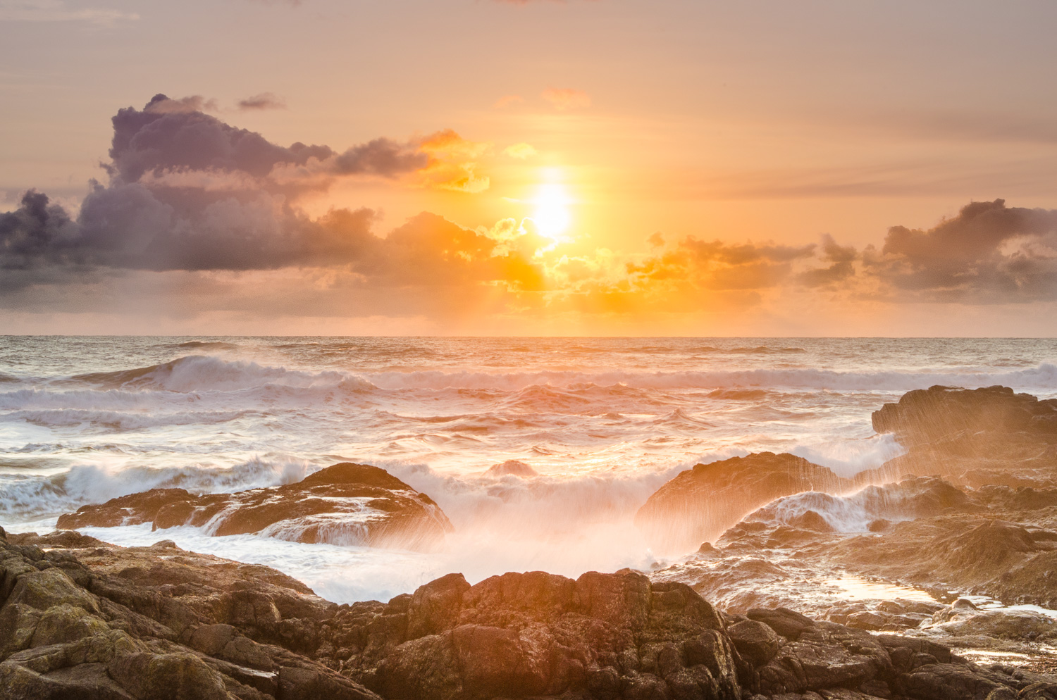 SATURDAY NIGHT PACIFIC by Harry H. Hitzeman, Jr.