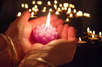 HOLDING OUT THE LIGHT TO ALL OF LIFE. Harry Hitzeman, Jr. Photographer