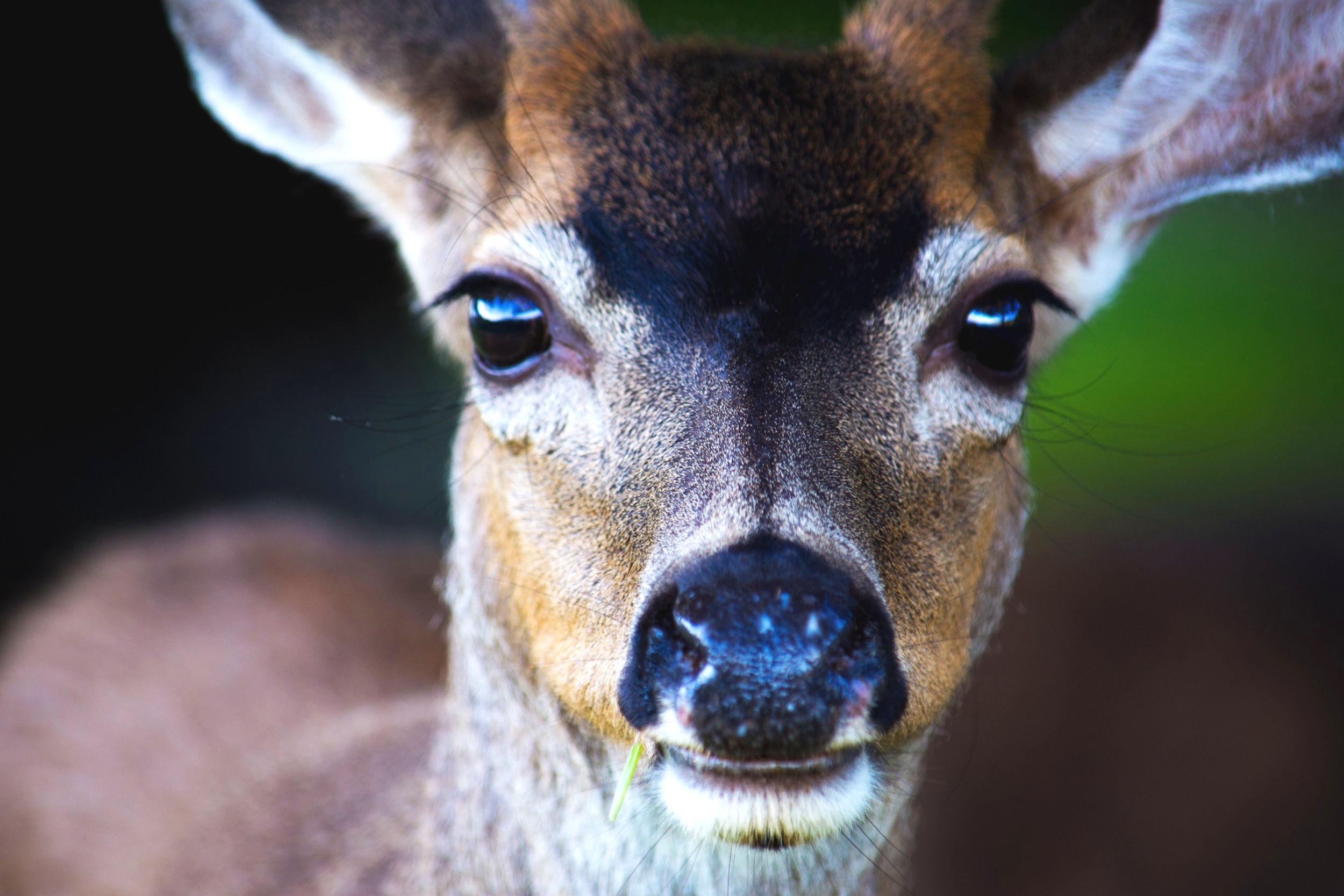 Thomas Steele photograph @ unsplash.com